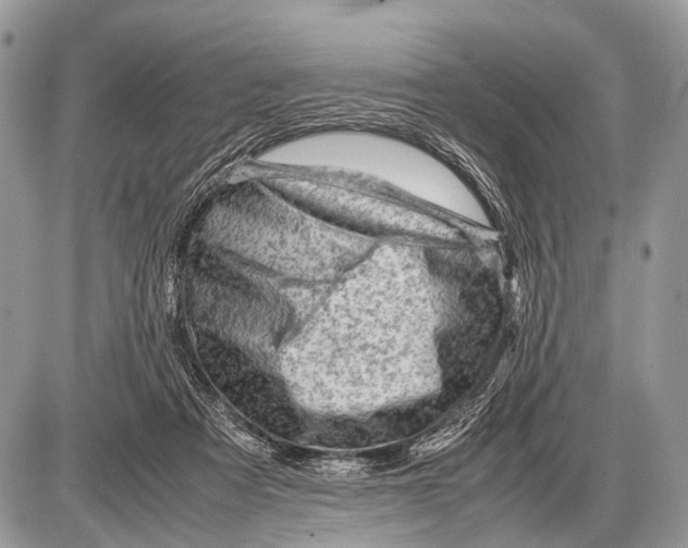 X0000087400313200705111832