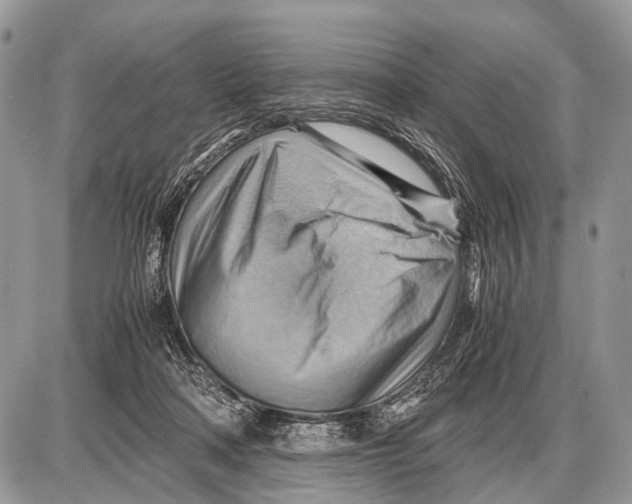 X0000087400314200705111832