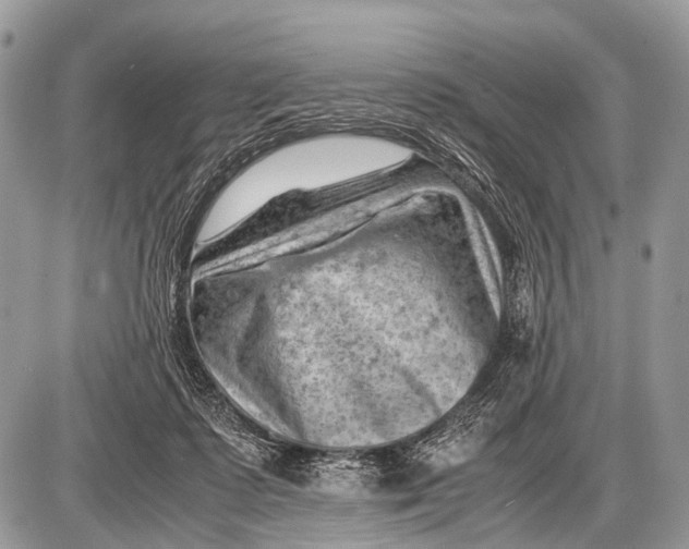 X0000087400315200705111832