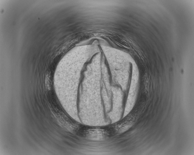 X0000087400316200705111832