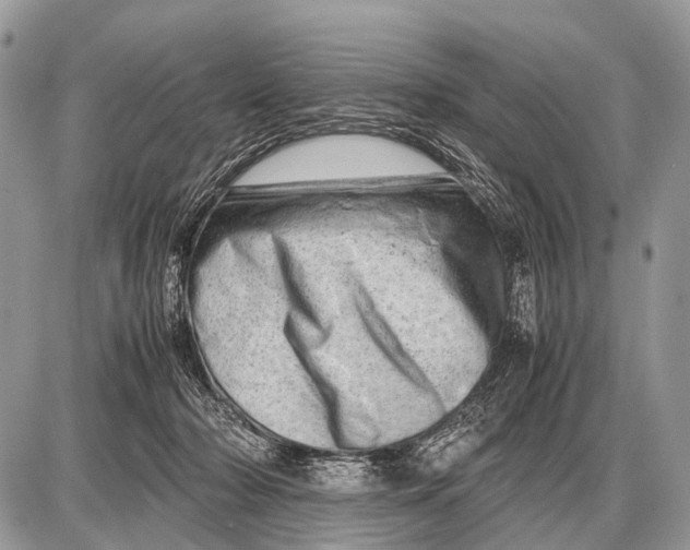 X0000087400318200705111832