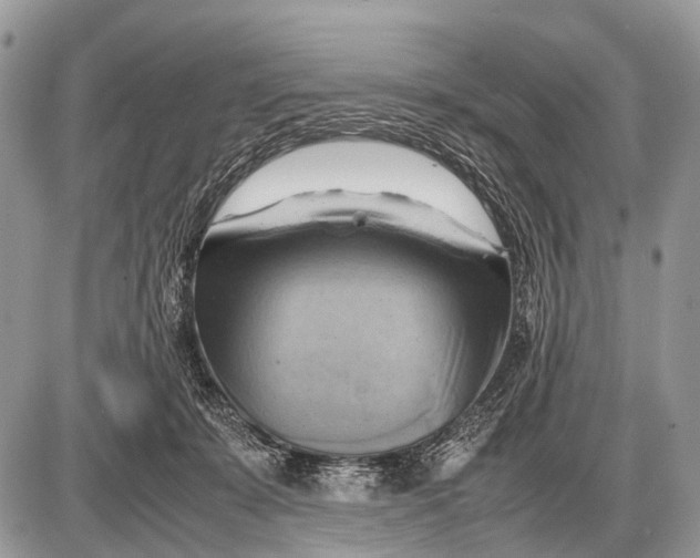 X0000087400319200705111832