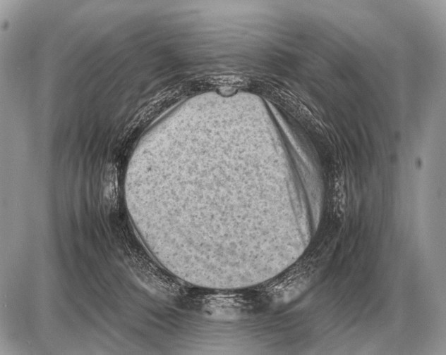 X0000087400320200705111832