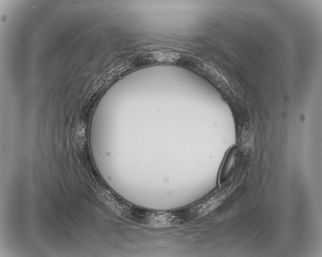 X0000087400321200705111832