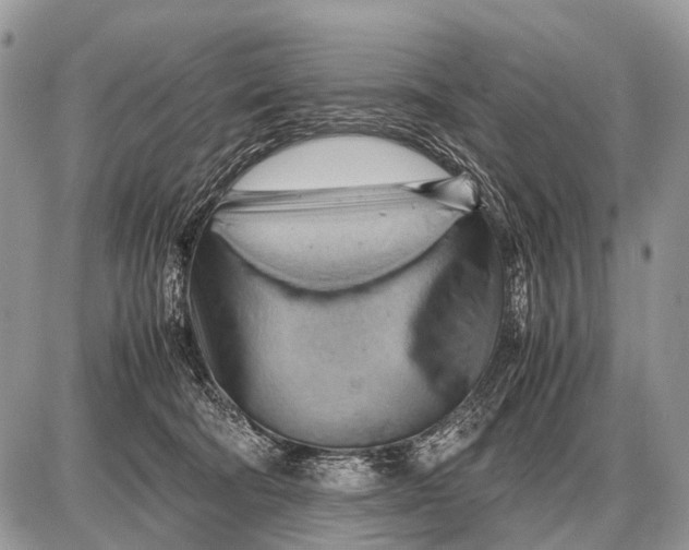 X0000087400322200705111832