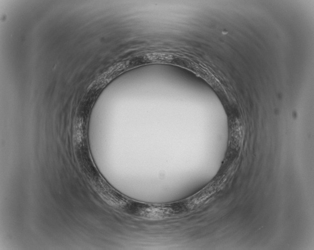 X0000087400323200705111832