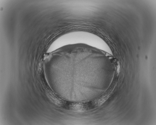 X0000087400325200705111832