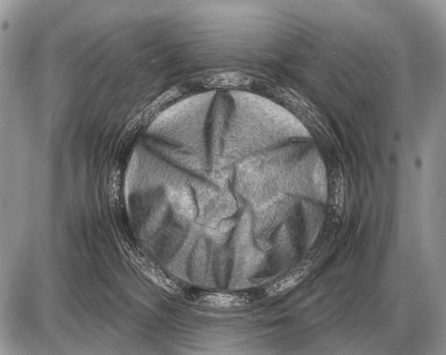 X0000087400326200705111832