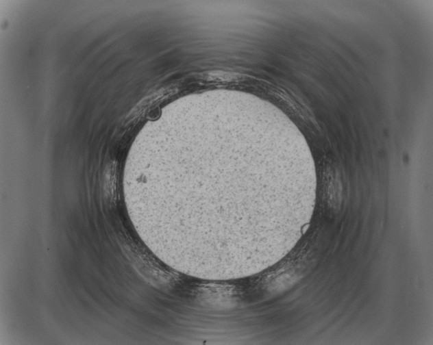 X0000087400328200705111832