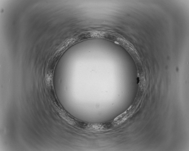 X0000087400329200705111832