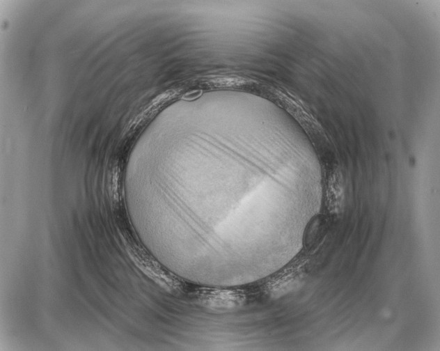 X0000087400330200705111832