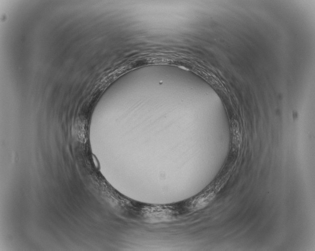 X0000087400331200705111832