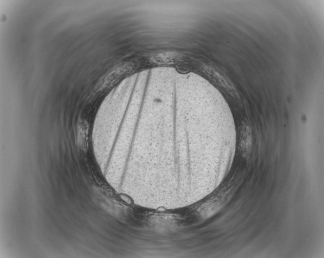 X0000087400332200705111832