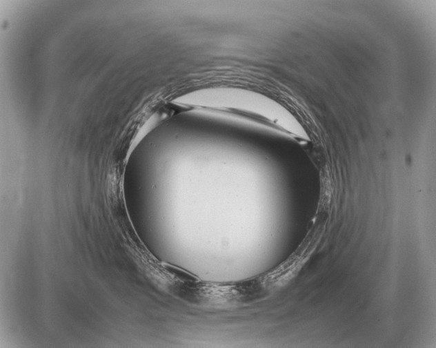 X0000087400333200705111832