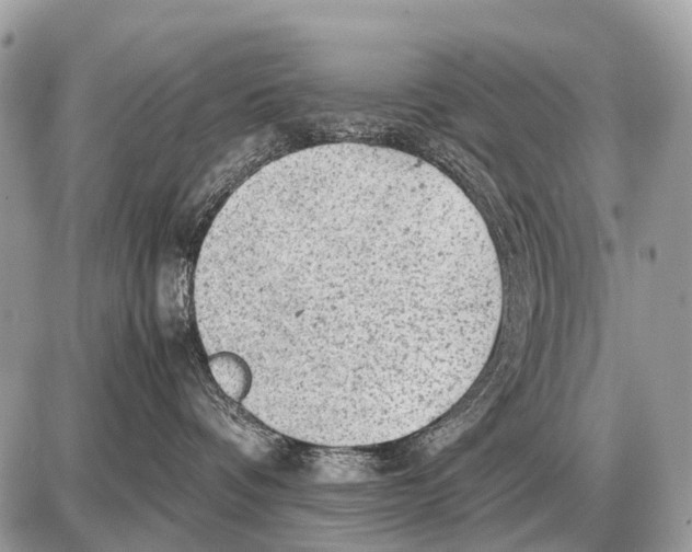 X0000087400336200705111832