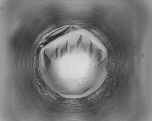 X0000087400338200705111831