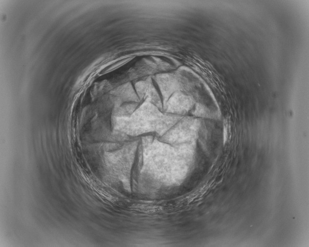 X0000087400339200705111831