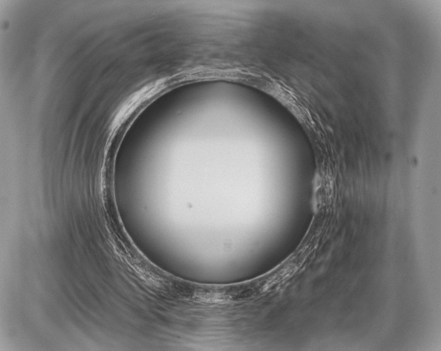 X0000087400340200705111831