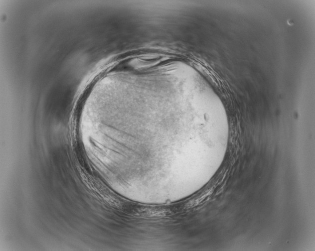 X0000087400343200705111831