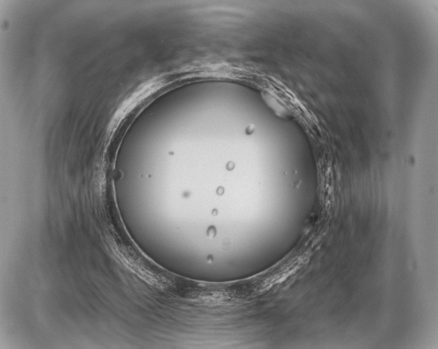 X0000087400344200705111831