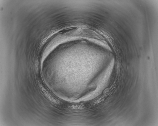 X0000087400345200705111831