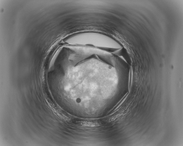 X0000087400347200705111831