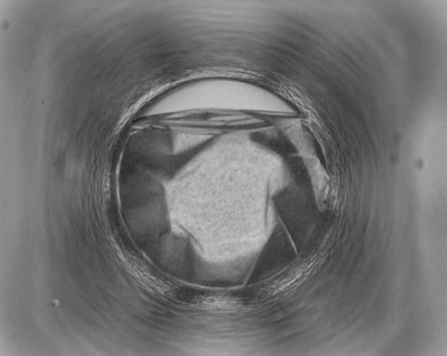 X0000087400348200705111831