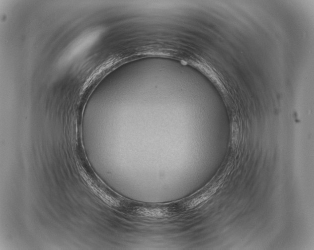 X0000087400349200705111831