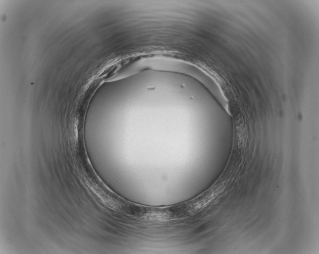 X0000087400350200705111831