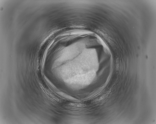 X0000087400351200705111831