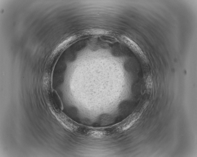 X0000087400352200705111831