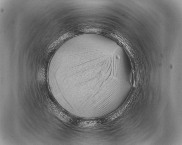 X0000087400353200705111831