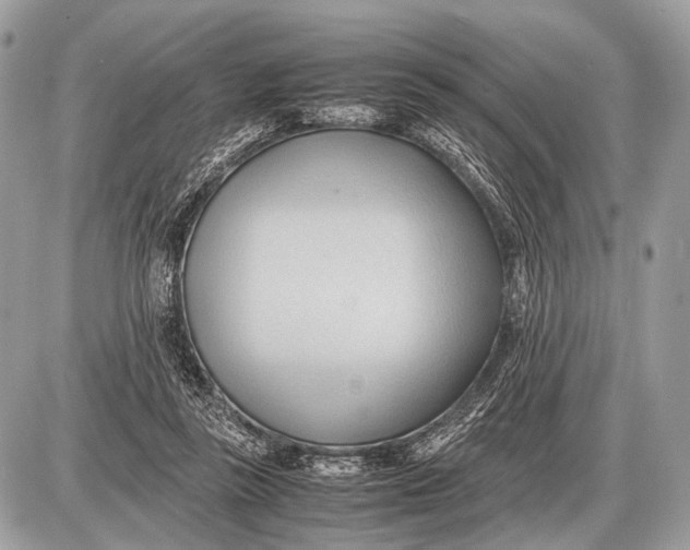 X0000087400355200705111831