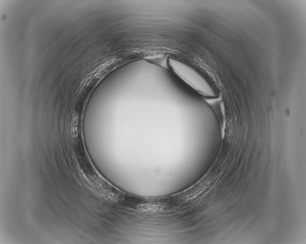 X0000087400356200705111831