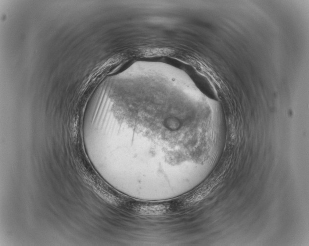 X0000087400357200705111831