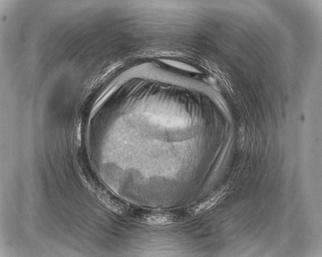 X0000087400358200705111831