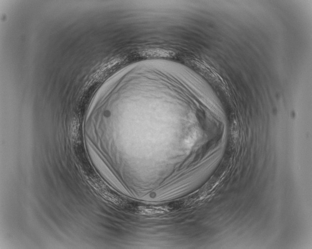 X0000087400359200705111831