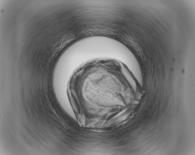 X0000087400360200705111831