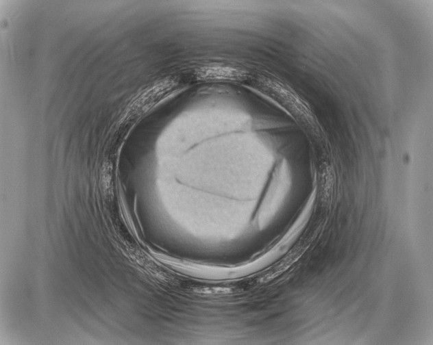 X0000087400361200705111831