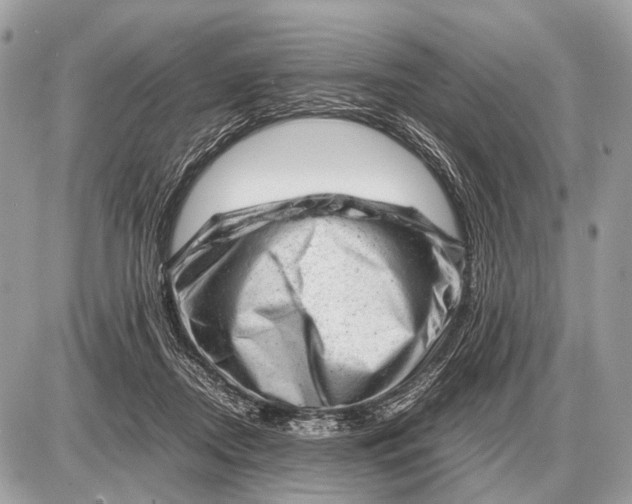 X0000087400362200705111831