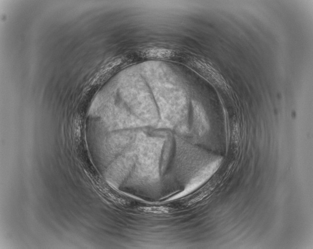 X0000087400363200705111831