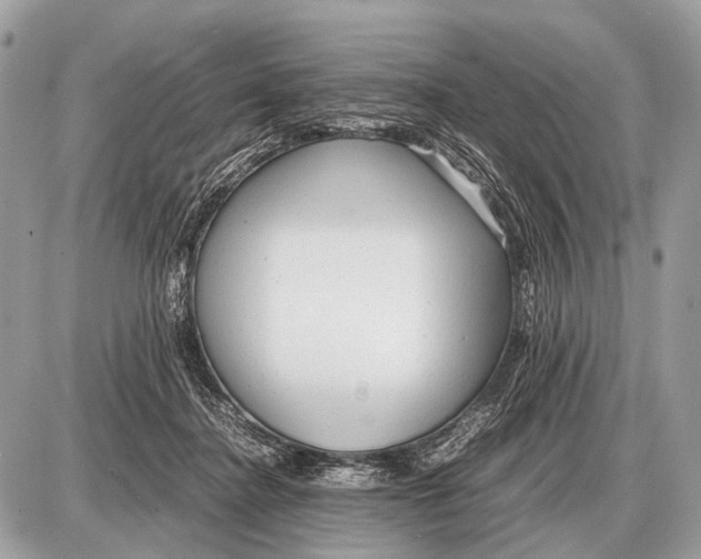 X0000087400364200705111831