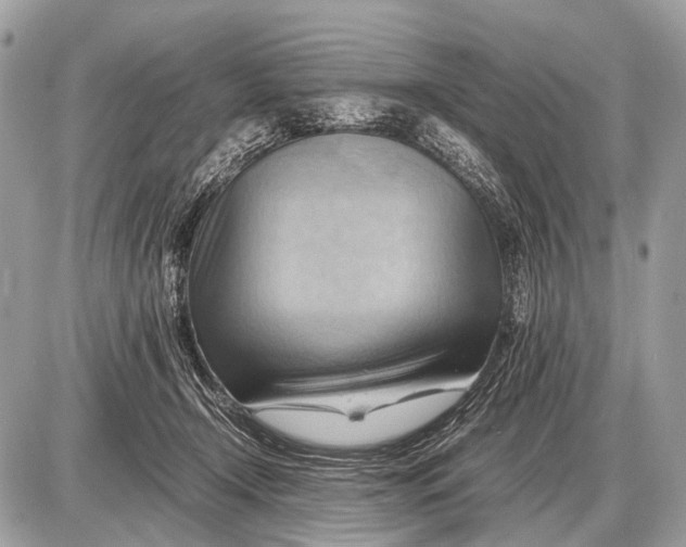 X0000087400366200705111831