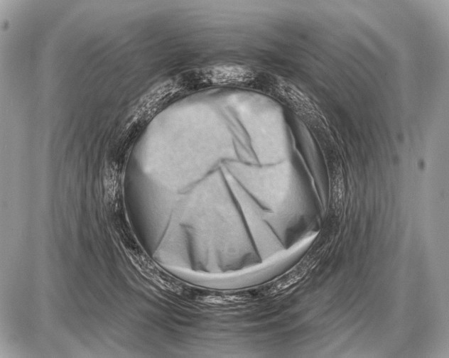 X0000087400367200705111831