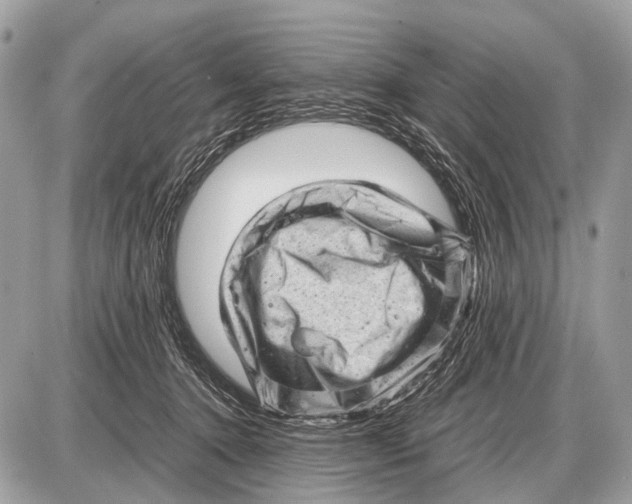 X0000087400368200705111831