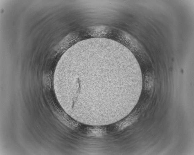 X0000087400370200705111832