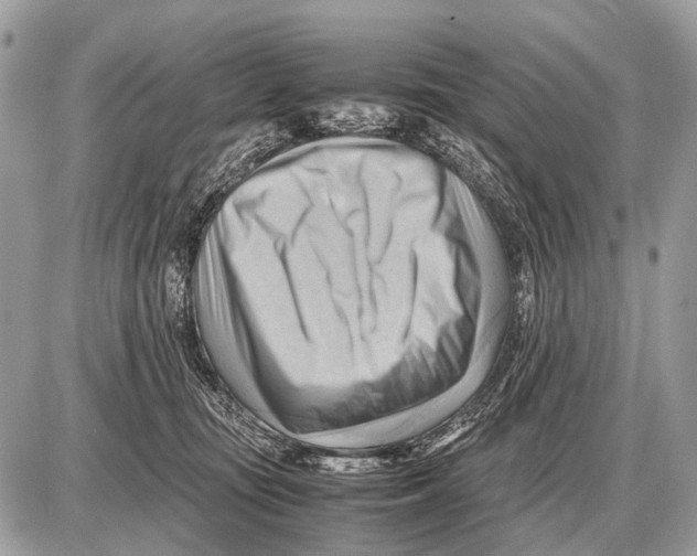 X0000087400371200705111832