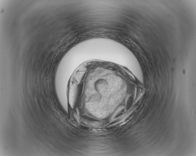 X0000087400372200705111832