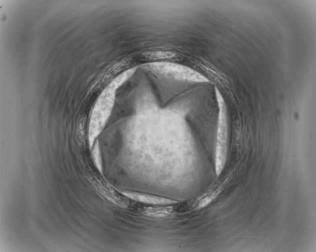 X0000087400373200705111832