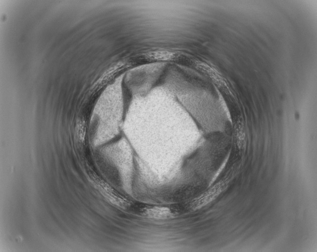 X0000087400374200705111832